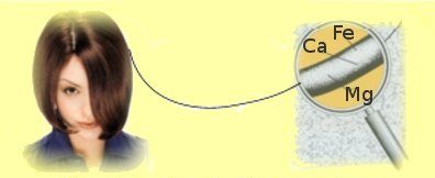 analiza wlosa pierwiastkowa Rzeszów APW