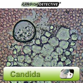 kandydoza test Candida Detective dietetyk rzeszów